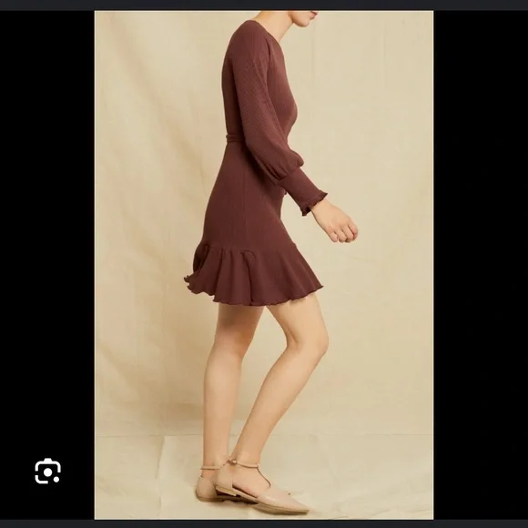 Amour Vert Ziggy Paris Rib Dress in Mocha - Picture 7 of 10